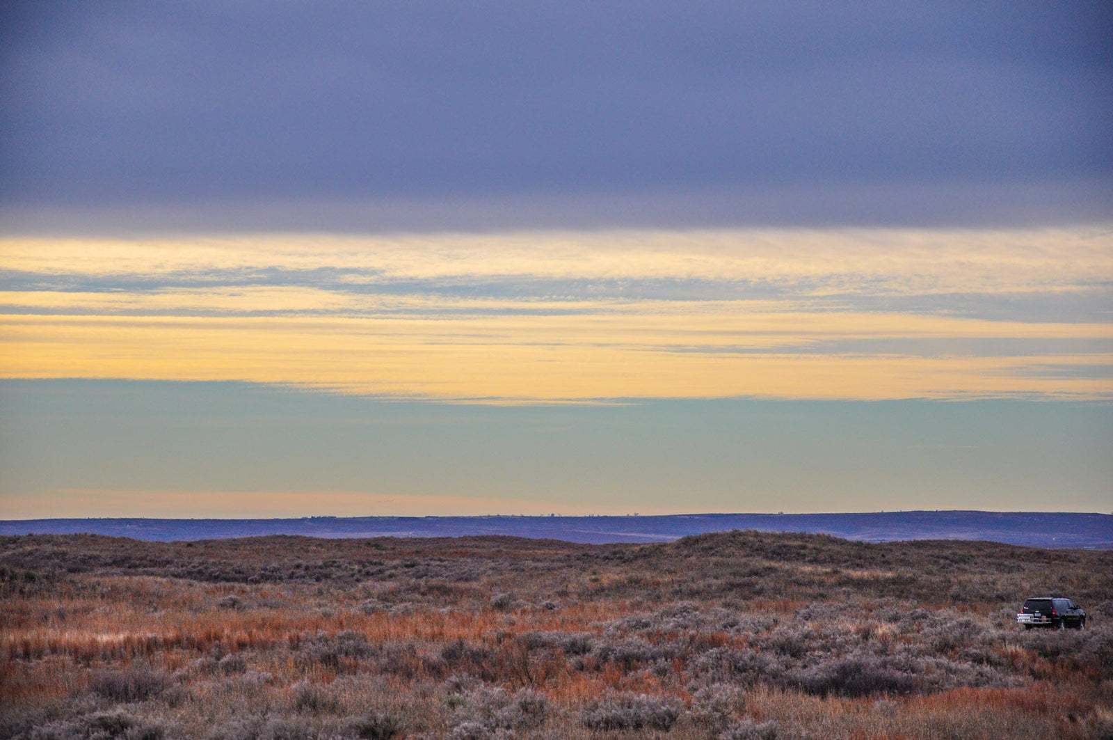 Quail Hunting the Texas Panhandle