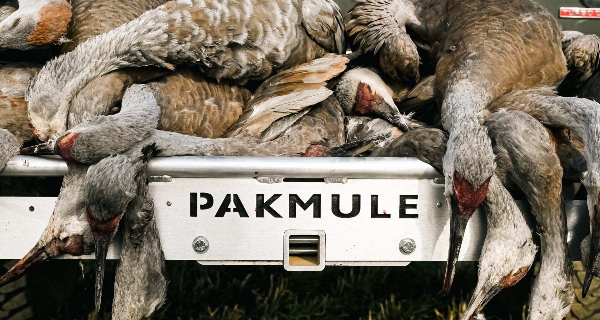 Field Ethos Gear Review: Pakmule