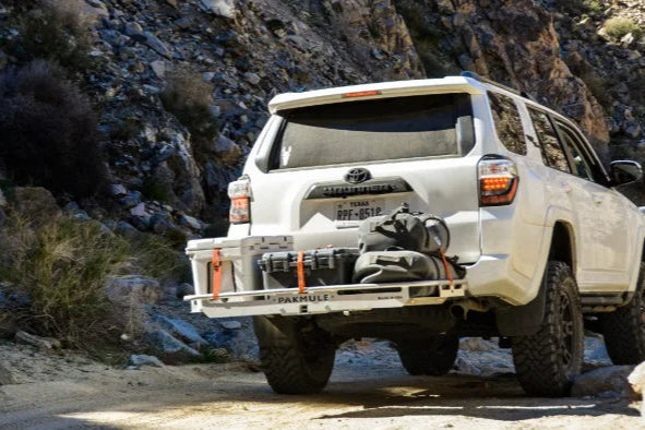 PAKMULE SCOUT