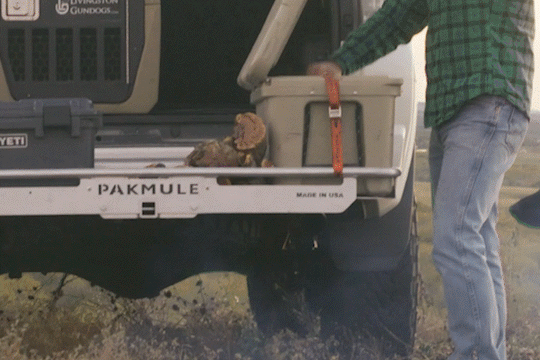 PAKMULE SCOUT