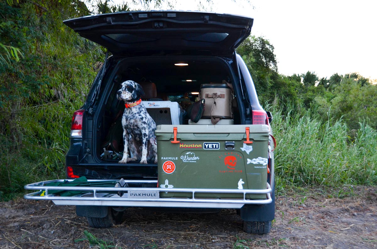 A dalmatian and a green Yeti cooler sit in the trunk of a "crossoverlanding" vehicle.